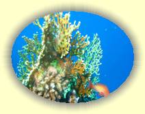 IMG_2007_05_29 15_55_55 * 3072 x 2304 * (812KB)